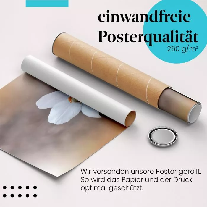 Anemonen | Postereck 3809