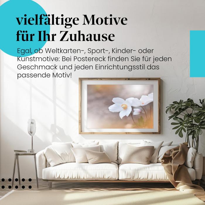 Preview: Anemonen | Postereck 3809