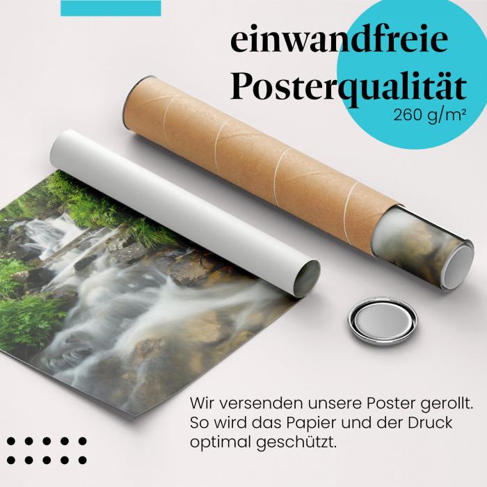 Preview: Bergbach | Postereck 3135