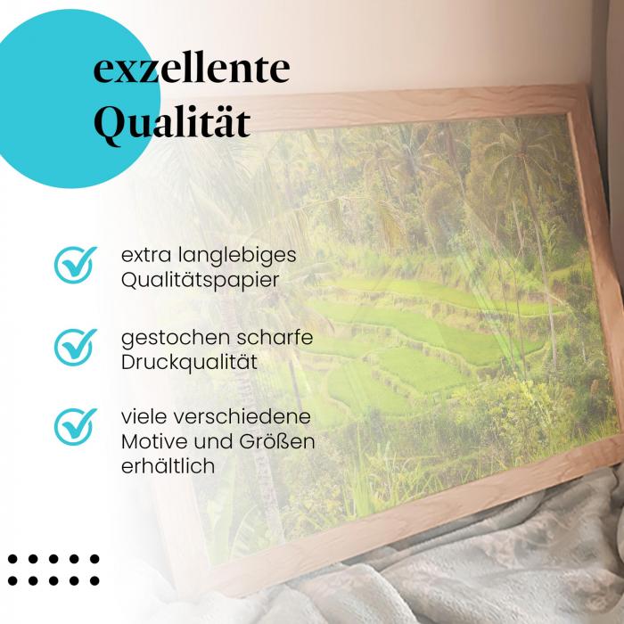 Preview: Bali: Reisterrassen | Postereck 1784