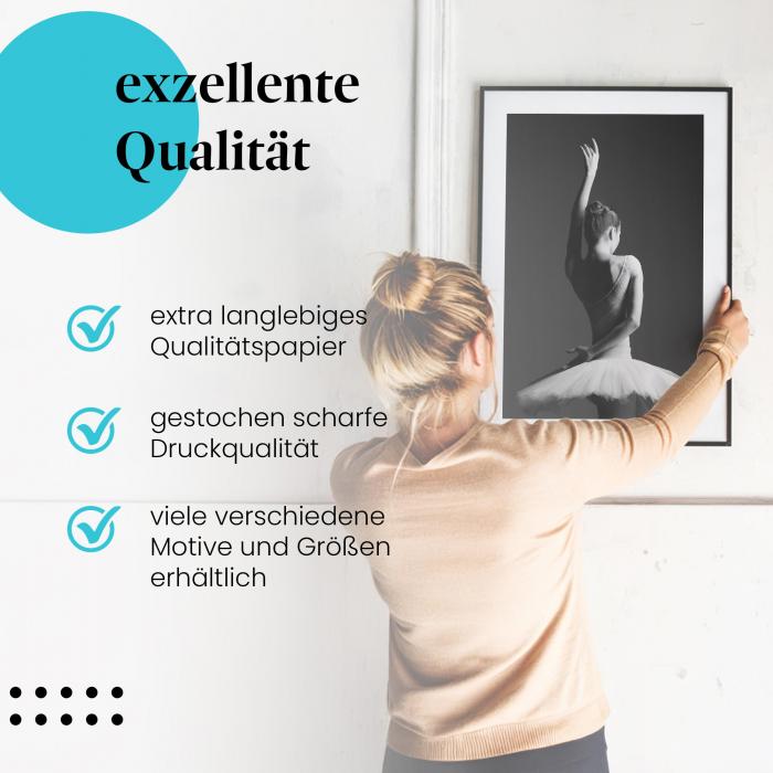 Preview: Anmut und Grazie: Ballerina | Postereck 1268