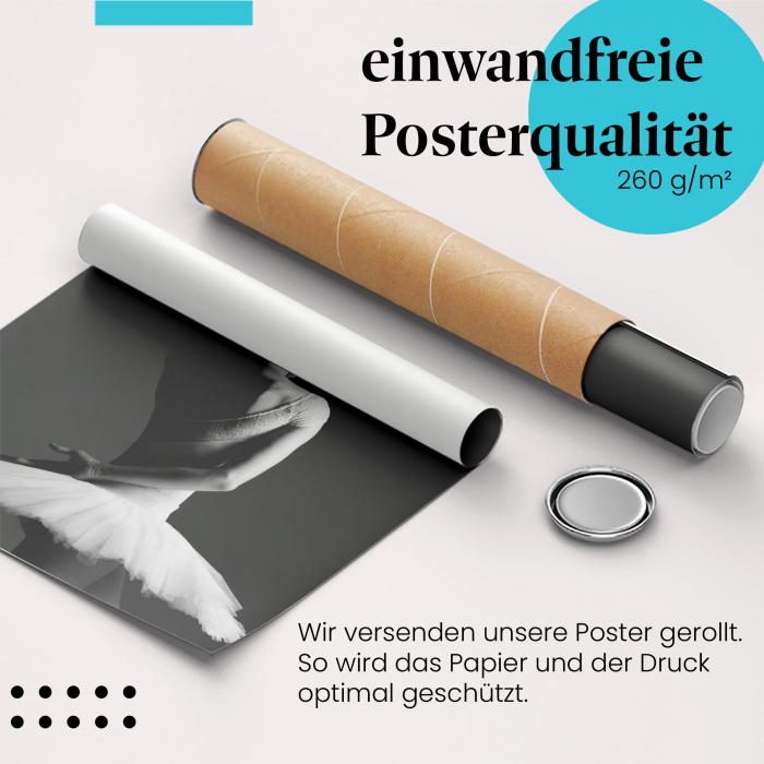 Preview: Anmut und Grazie: Ballerina | Postereck 1268