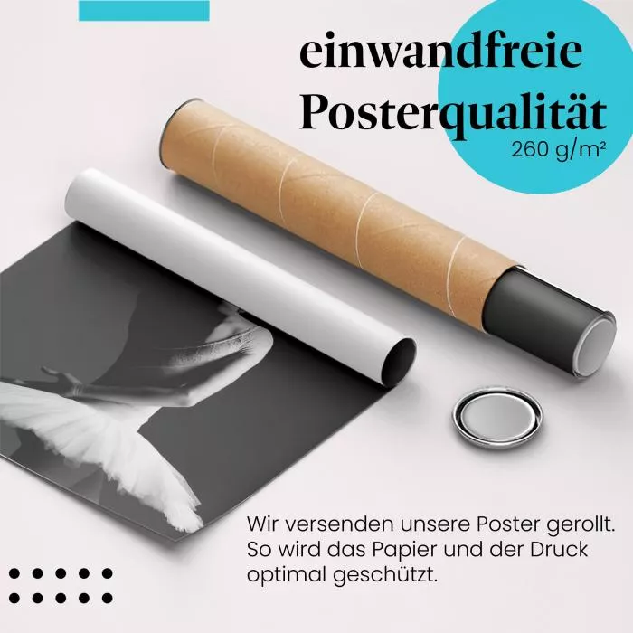 Anmut und Grazie: Ballerina | Postereck 1268