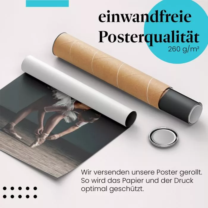 Ballerina bindet Ballettschuh | Postereck 1112