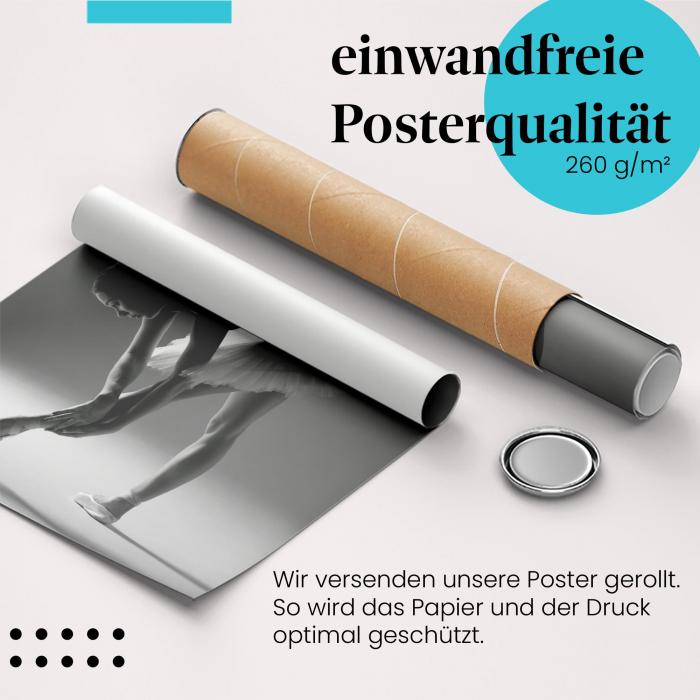 Preview: Beweglichkeit: Ballerina dehnt sich | Postereck 1270