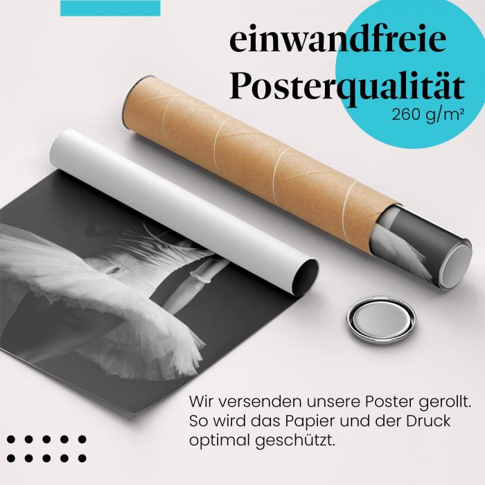 Preview: Ballerina: Rückenmuskulatur & Anmut | Postereck 0871