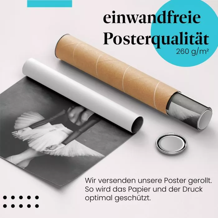 Ballerina in Schwarz-Weiß | Postereck 3381
