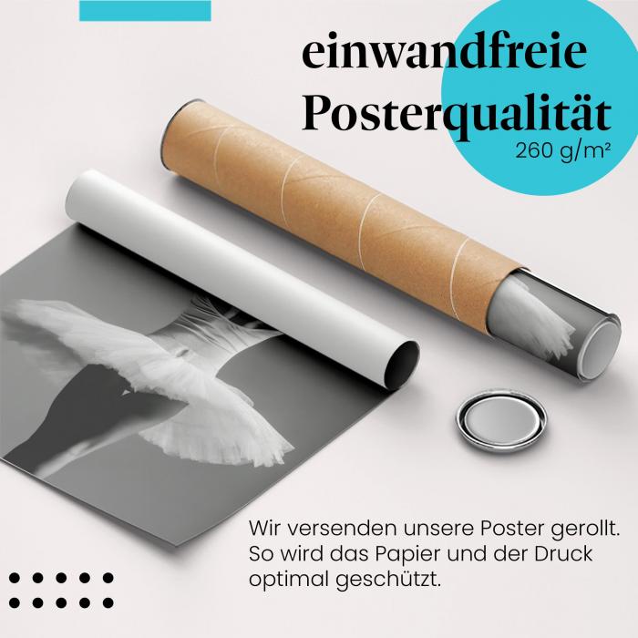 Preview: Ballerina in Pose: Anmut & Schwarz-Weiß | Postereck 0870