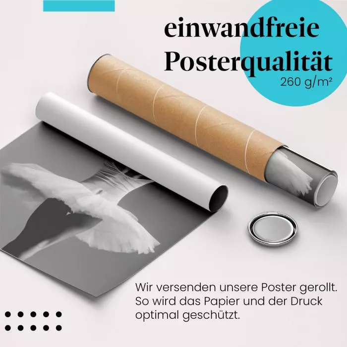 Ballerina in Pose: Anmut & Schwarz-Weiß | Postereck 0870