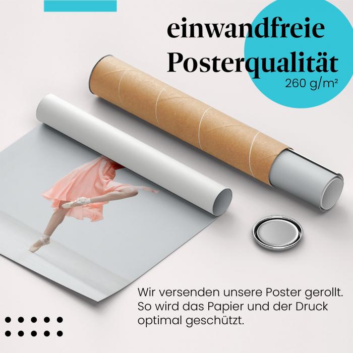 Preview: Ballerina | Postereck 3408