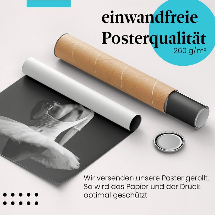 "Ballerina": Gerolltes Poster, Eleganz, Pose.