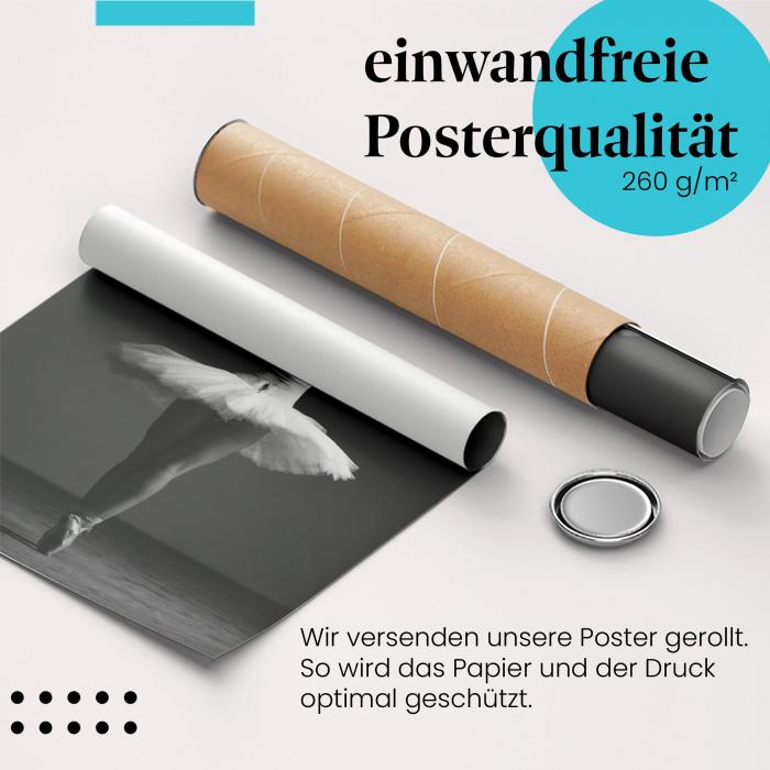 Preview: Ballerina im Tutu | Postereck 1219