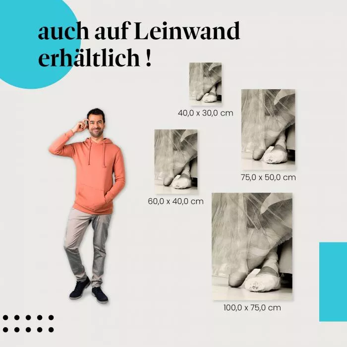 Spitzenleistung: Abgenutzte Ballettschuhe | Postereck 0015