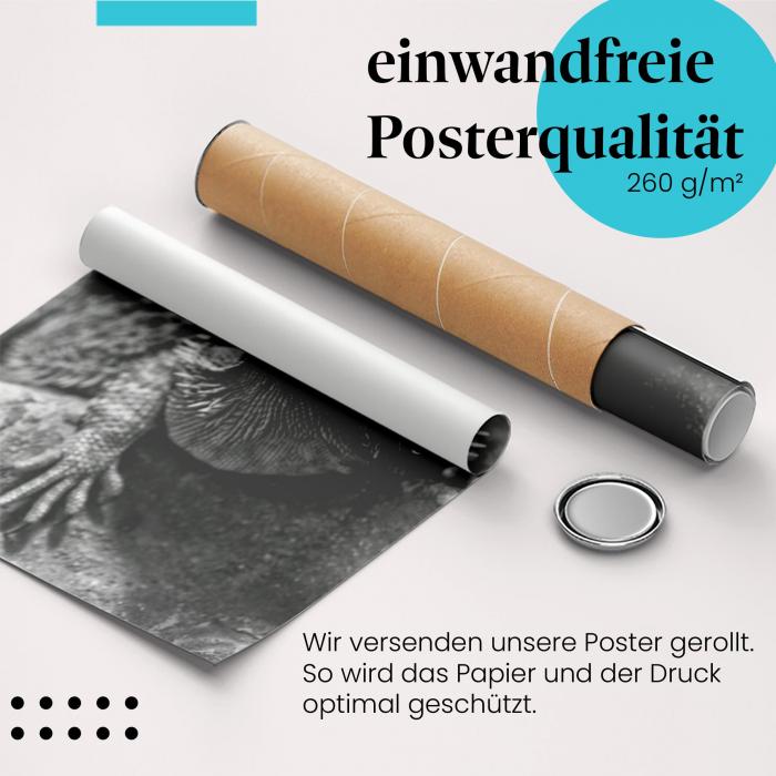 Preview: Bartagame | Postereck 3400