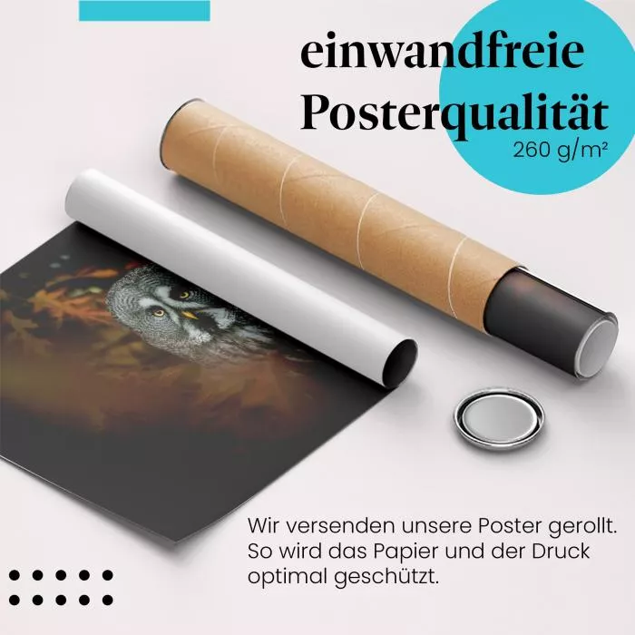 Waldbewohner | Postereck 3916