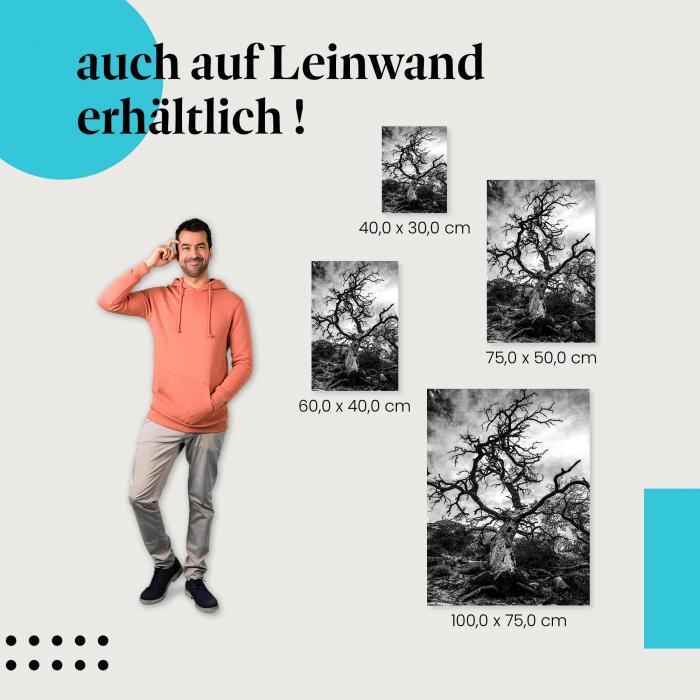 Baum: Leinwandbild. Schwarz-weiß, Äste, dramatisch.