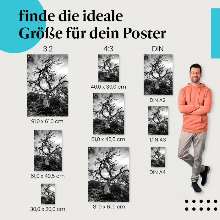 Baum, Poster: Schwarz-weiß, Äste, Himmel, dramatisch.