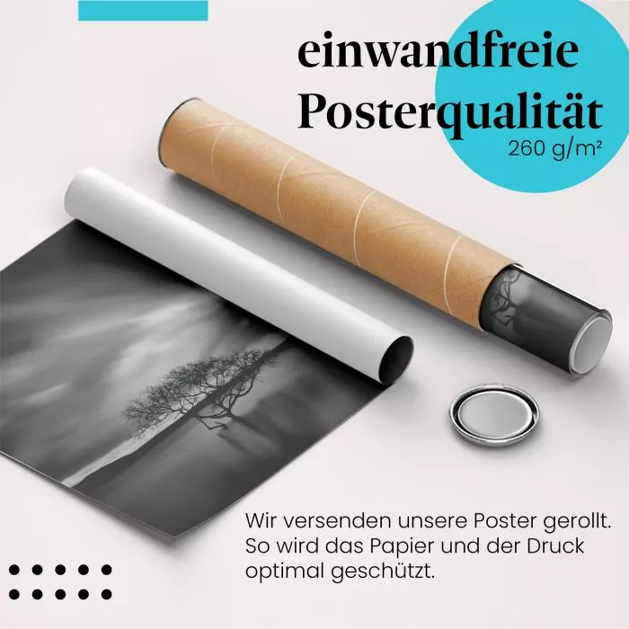 Baum im Sturm | Postereck 3764