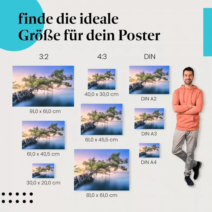 Baum im Wasser | Postereck 3122