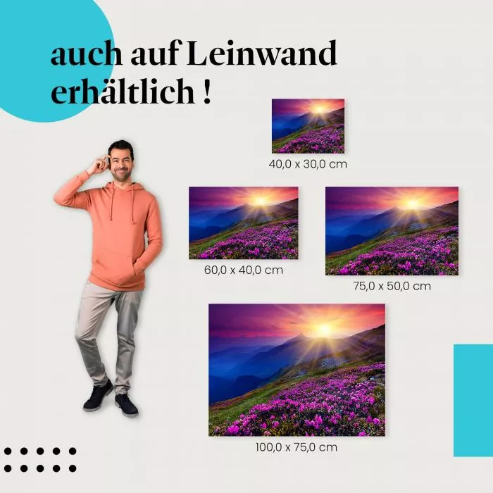 Sonnenuntergang: Bergwiese & Alpenrosen | Postereck 1440