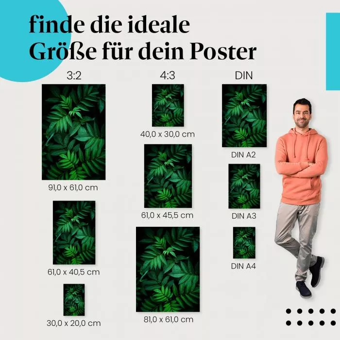 Mystischer Wald | Postereck 2820