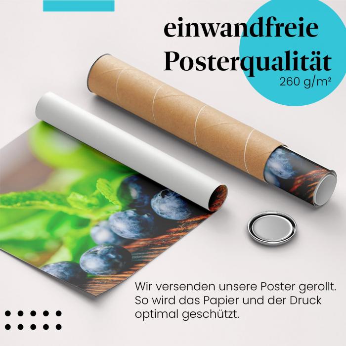 Preview: Sommerfrüchte | Postereck 3148