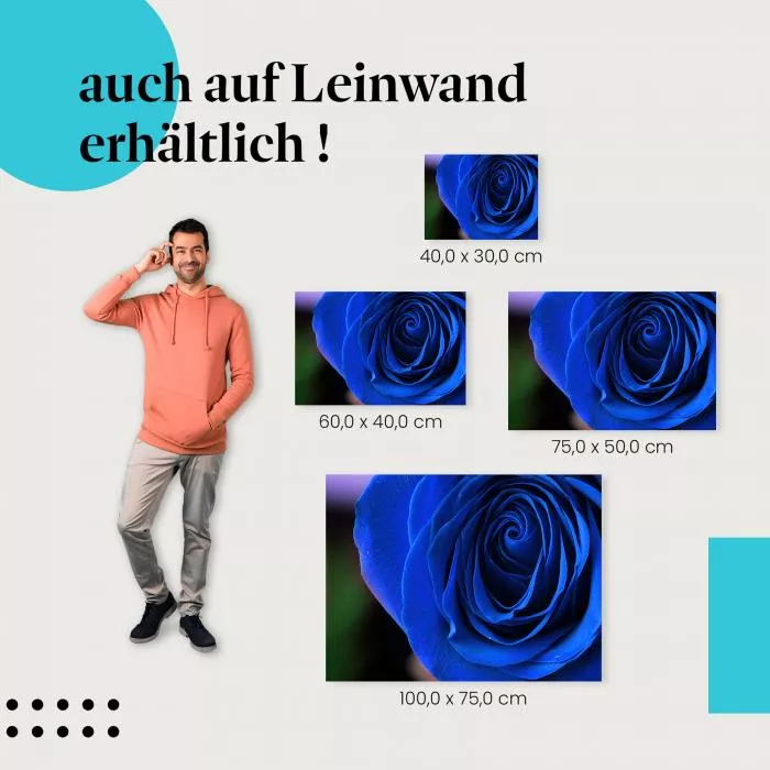 Blaue Rose | Postereck 3276