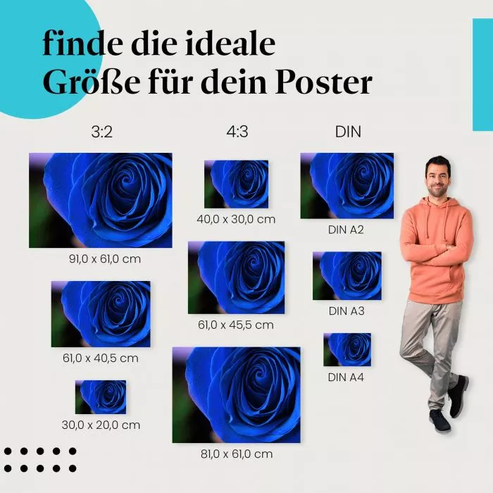 Blaue Rose | Postereck 3276