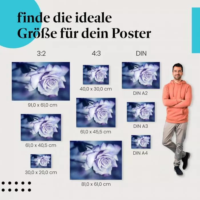 Blaue Rose im Morgentau | Postereck 1330