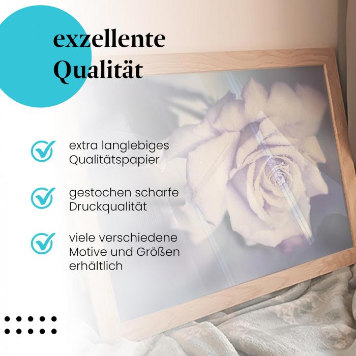 Gerahmtes Wandbild "Zarte Schönheit: Blaue Rose im Morgentau" in verschiedenen Größen.