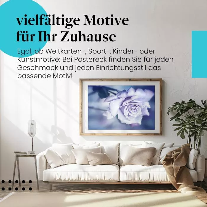 Blaue Rose im Morgentau | Postereck 1330