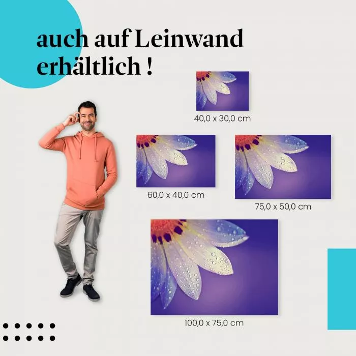 Blüte mit Tautropfen | Postereck 1506