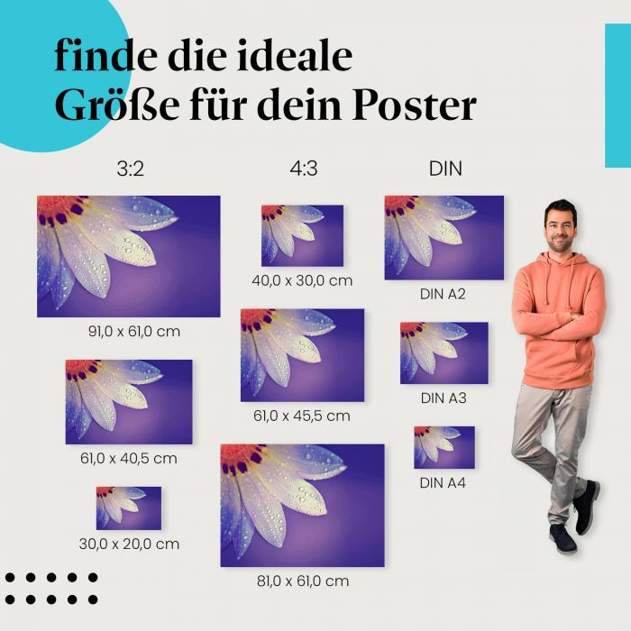 "Zarte Blüte": Poster - Blütenblätter & Wassertropfen in Pastellfarben