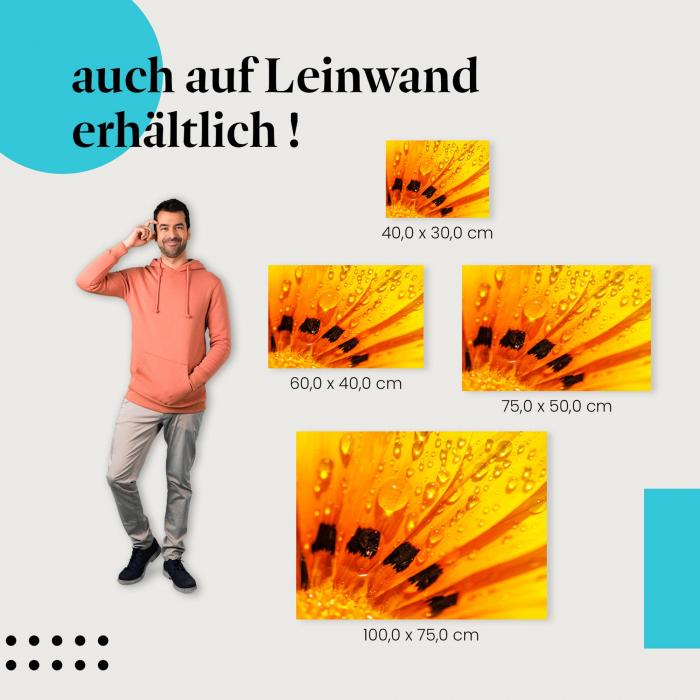 Leinwandbild "Leuchtende Blume": Farbenpracht & Schönheit der Natur