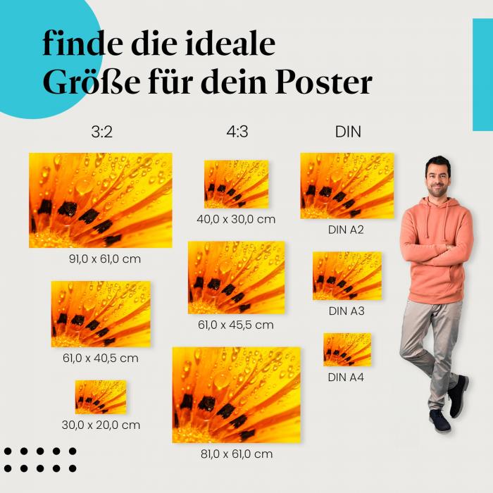 "Leuchtende Blume mit Tautropfen": Poster - Orange Blume & Detailaufnahme
