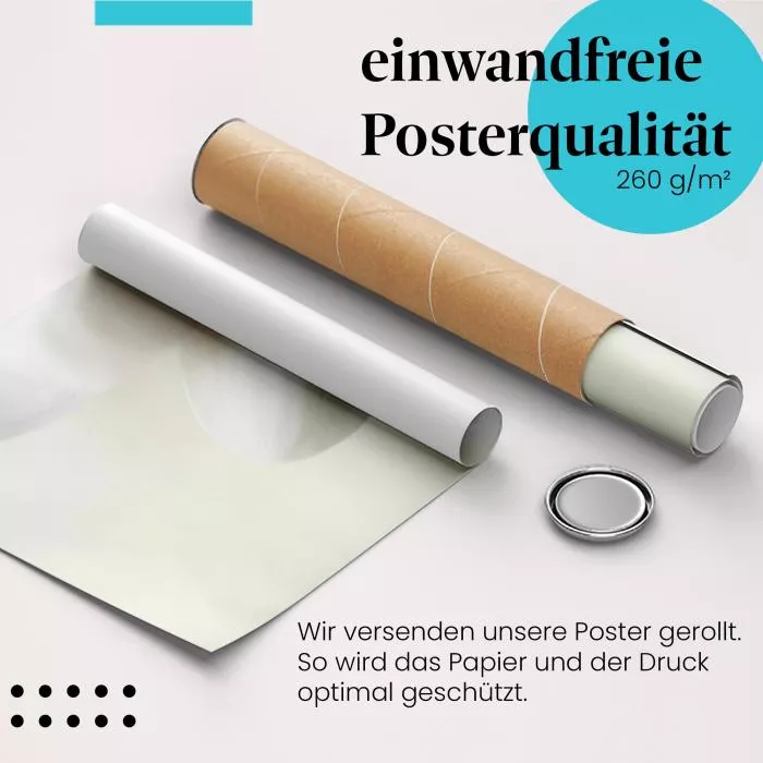 Blütenblätter | Postereck 3133