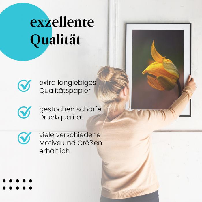 Gerahmtes Wandbild "Goldgelbe Blüte im Profil: Makroaufnahme" in verschiedenen Größen.