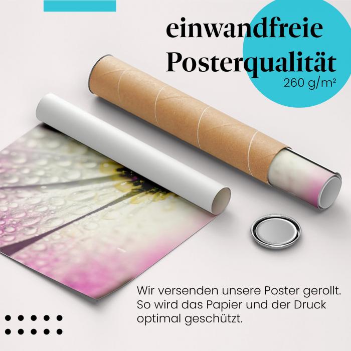 Gerolltes Poster "Blume mit Wassertropfen". Zarte Schönheit, sicher verpackt.