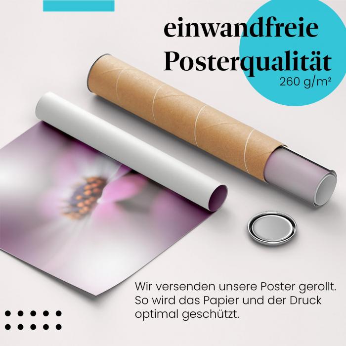 Gerolltes Poster "Blüte mit Tautropfen". Zarte Schönheit, sicher verpackt.