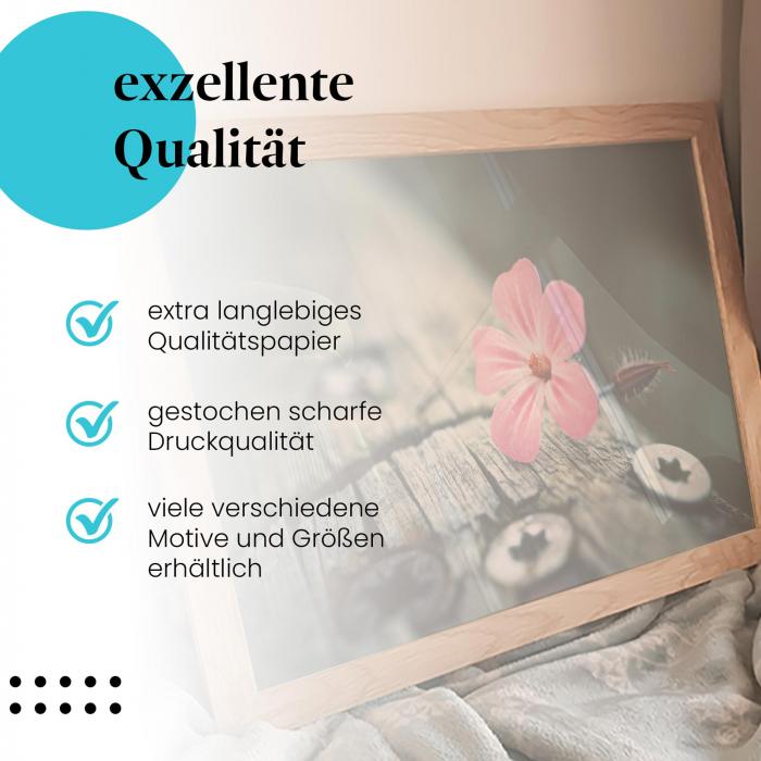 Preview: Blume am Holzbalken | Postereck 2848