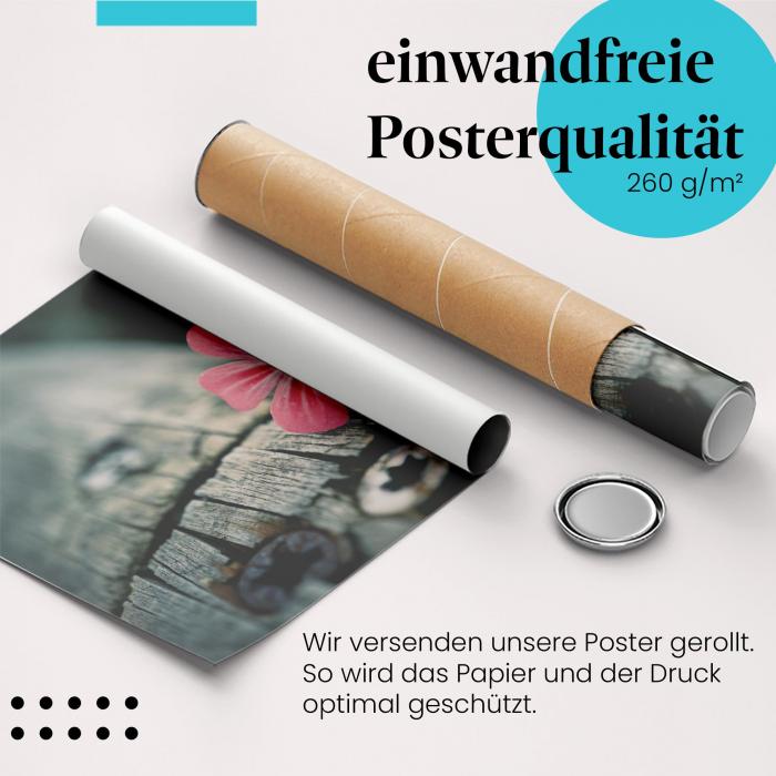 Preview: Blume am Holzbalken | Postereck 2848