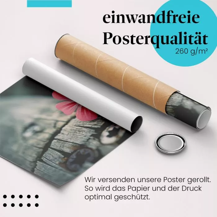 Blume am Holzbalken | Postereck 2848
