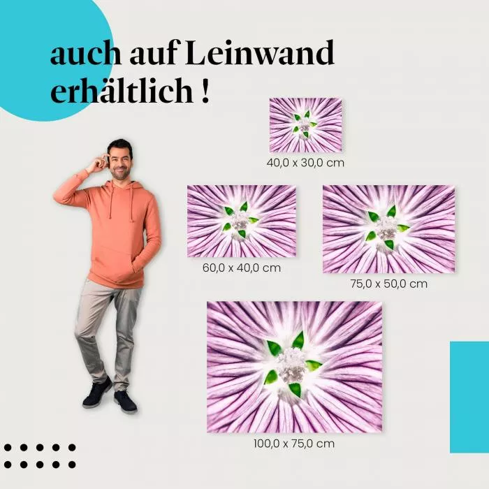 Blütentraum: Lila Blüte | Postereck 1347