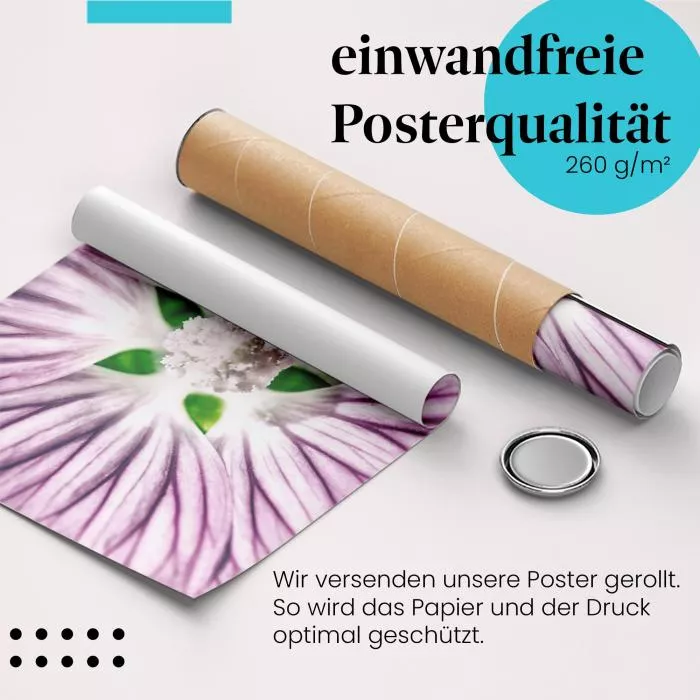 Blütentraum: Lila Blüte | Postereck 1347