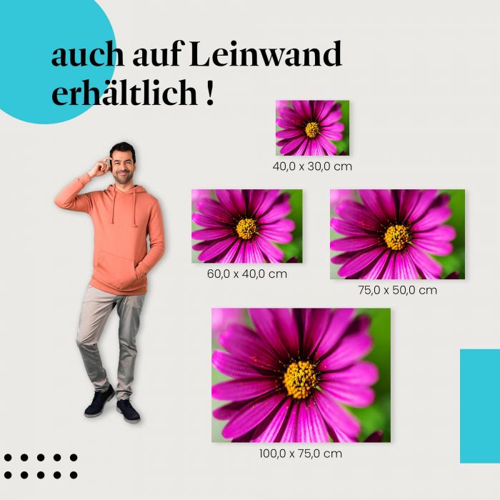 Leinwandbild "Blütenpracht": Die Schönheit der Natur