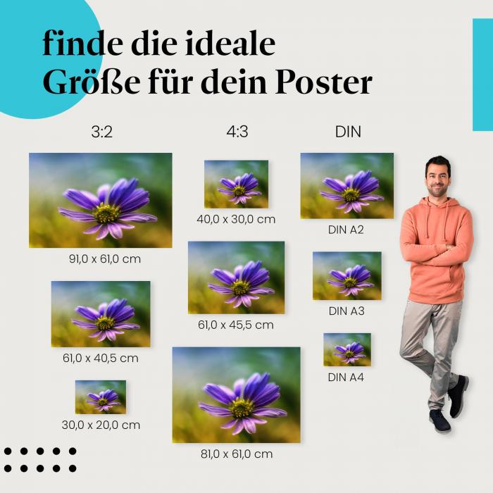 "Zarte Schönheit": Blumenposter mit Makroaufnahme einer lila Blume