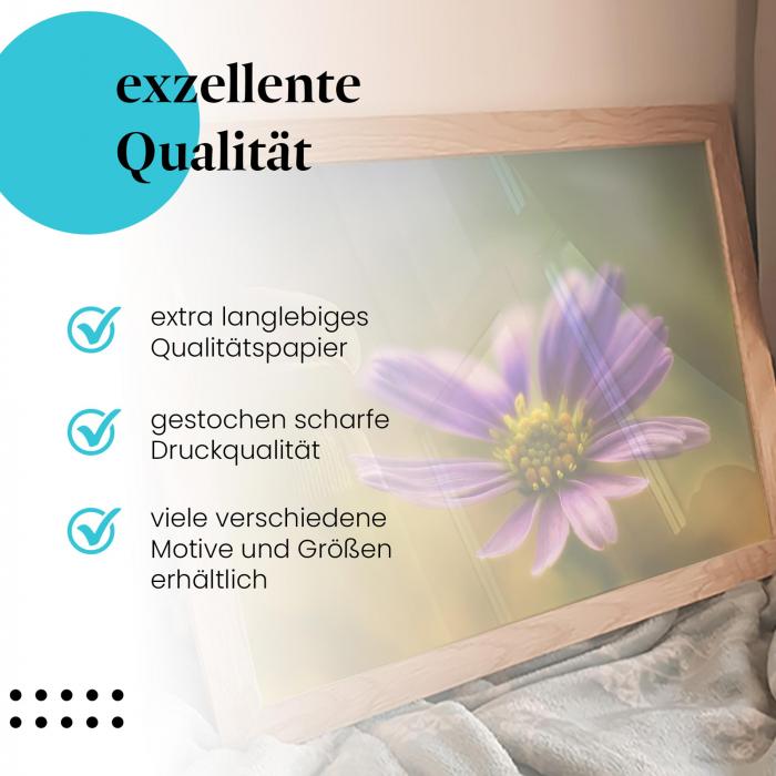 Gerahmtes Wandbild "Zarte Schönheit: Lila Blume im Sonnenlicht" in verschiedenen Größen.