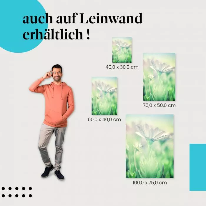 Blume in Pastell: Zarte Schönheit | Postereck 1298