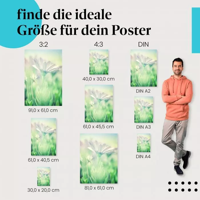 Blume in Pastell: Zarte Schönheit | Postereck 1298
