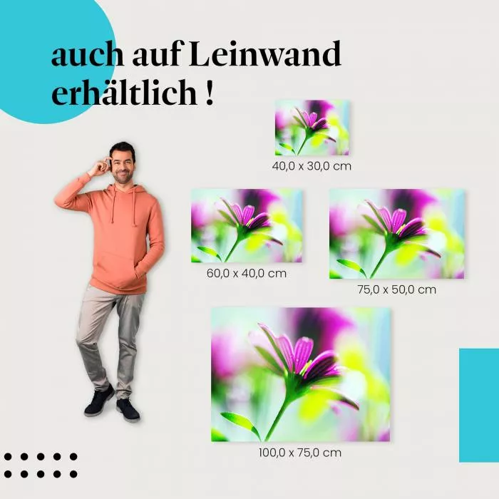 Pinke Schönheit: Blume im Detail | Postereck 1366